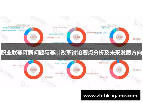 职业联赛降薪问题与赛制改革讨论要点分析及未来发展方向