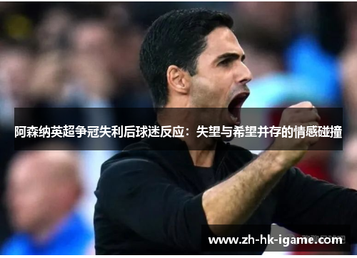 阿森纳英超争冠失利后球迷反应：失望与希望并存的情感碰撞